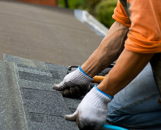 Best Roof Gutter Cleaning  in Leavenworth, KS